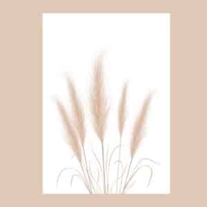 Pampas A4 Print