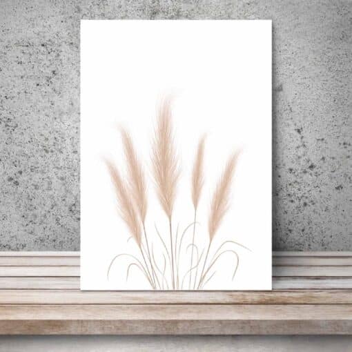 Pampas A4 Print